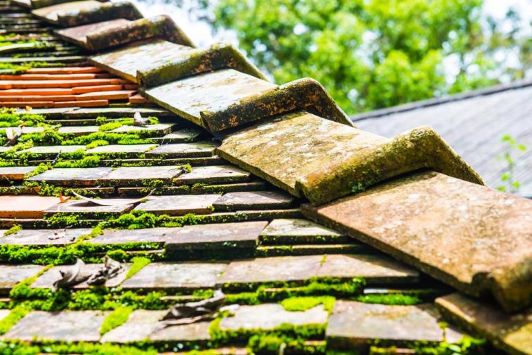 Quand faut-il envisager la réfection de votre toiture ?